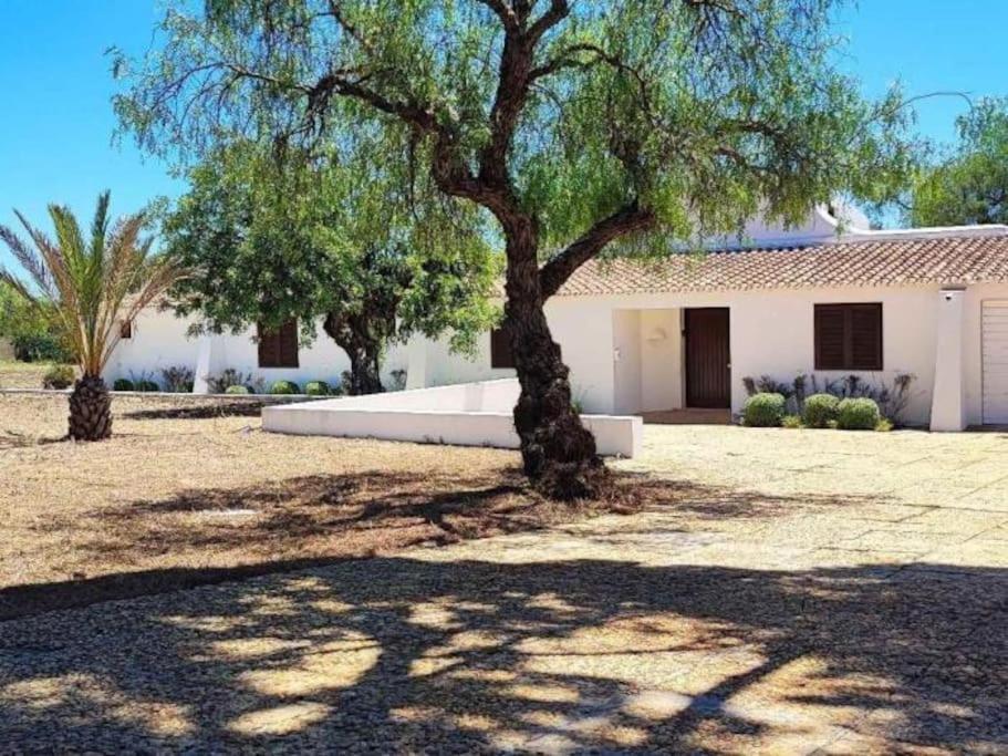Casa Da Colina - Privat Pool & Bbq & Privacy Villa Albufeira